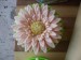 9 gerbera